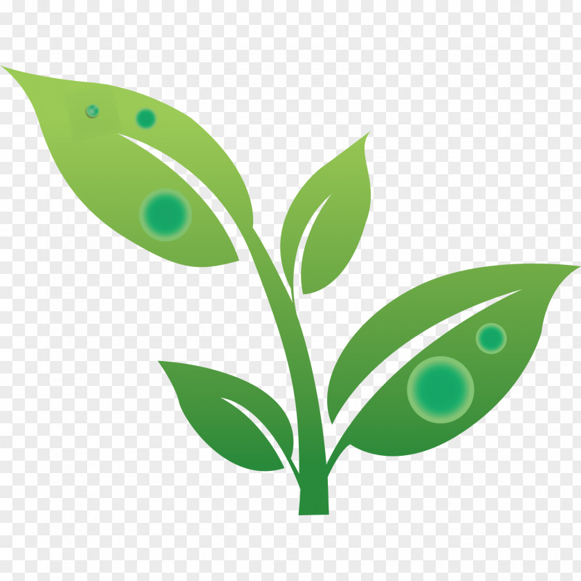 Green Foliage Earth Vector Graphics Clip Art Image PNG