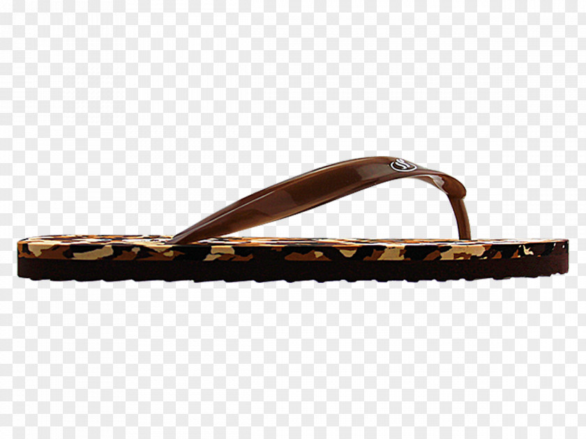Họa Tiết Sandal Shoe PNG