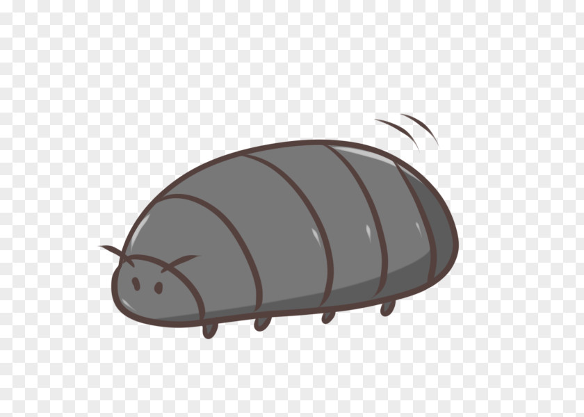 Insect Roly-poly 虫 Illustrator PNG