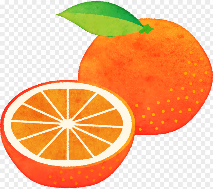 Orange PNG