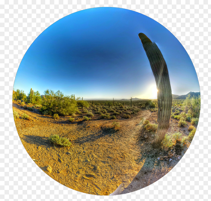 Arizona Desert Landscape Ecosystem Ecoregion Panorama Sky Plc PNG