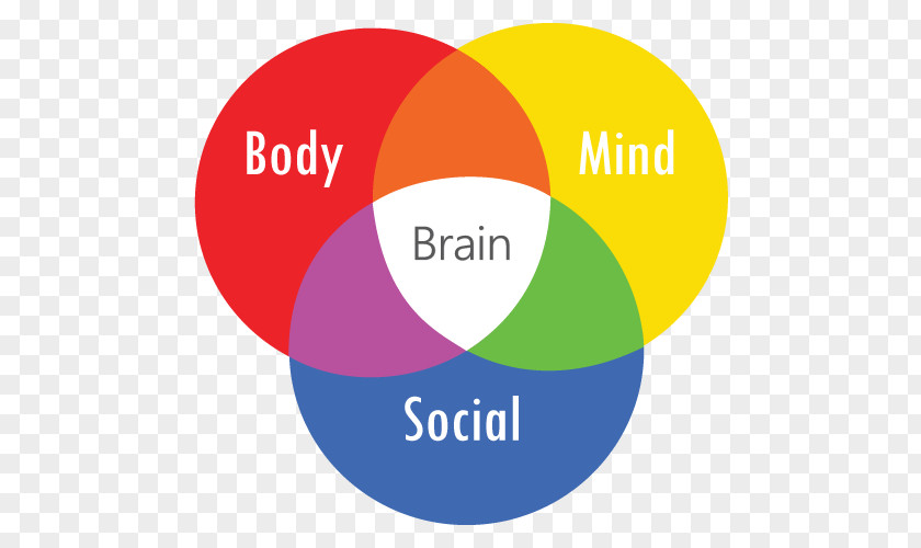 Mind Body Biopsychosocial Model Biology Grundformen Der Angst Bodymind PNG