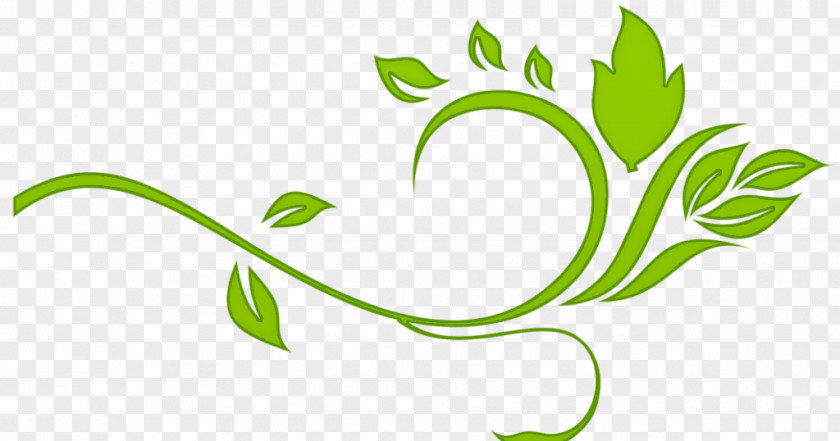 Pedicel Grass Leaf Green Plant Flower Herbal PNG