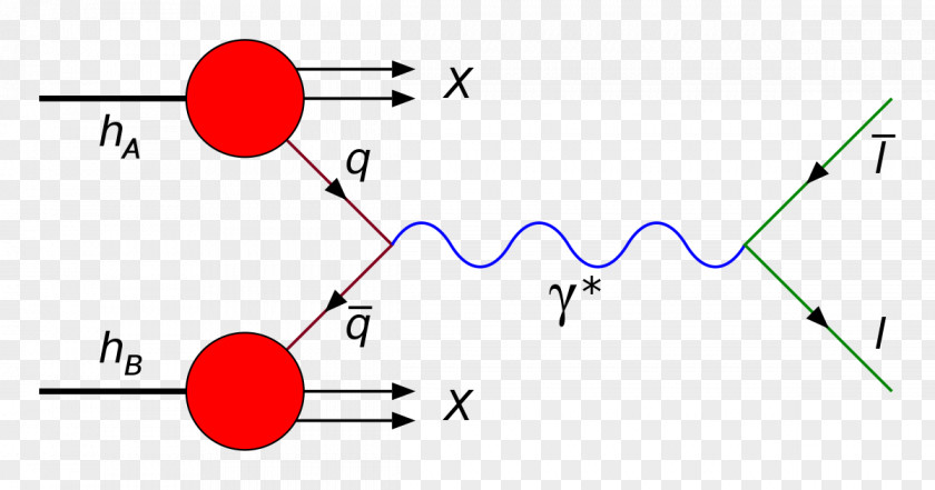 Synchrotron Drell–Yan Process W And Z Bosons Boson Quark PNG