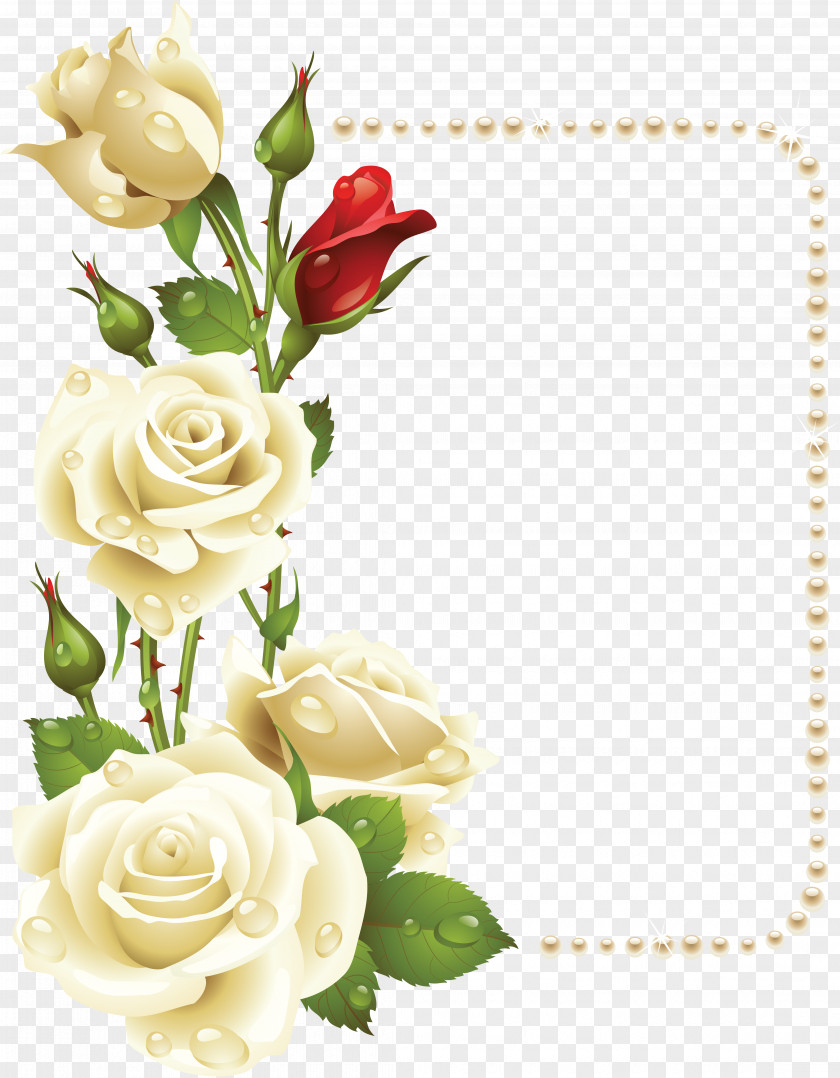 White Rose Borders And Frames Flower Painting Clip Art PNG