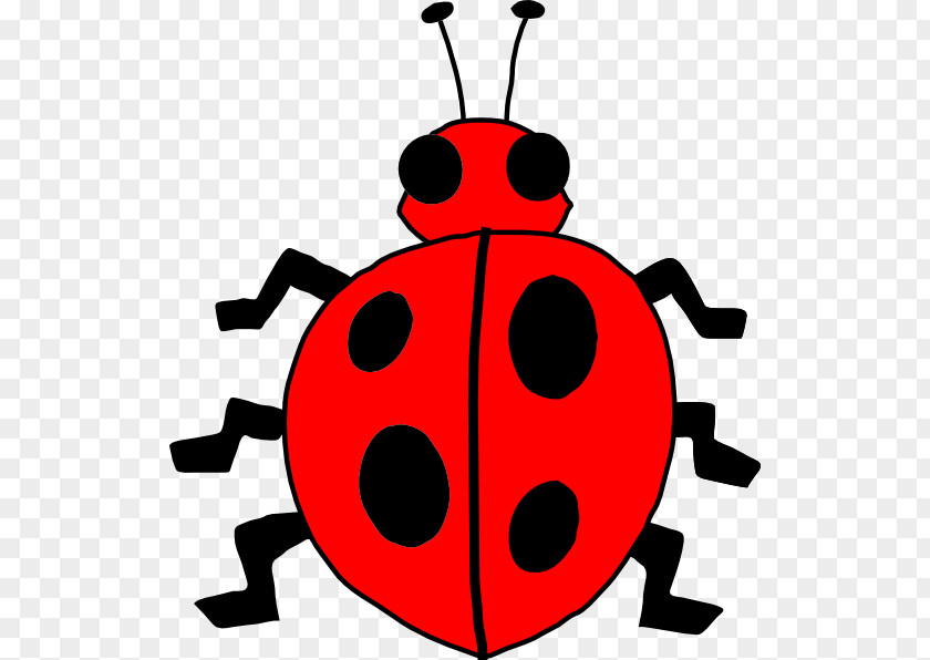 Beetle Outline Cliparts Free Content Black And White Ladybird Clip Art PNG