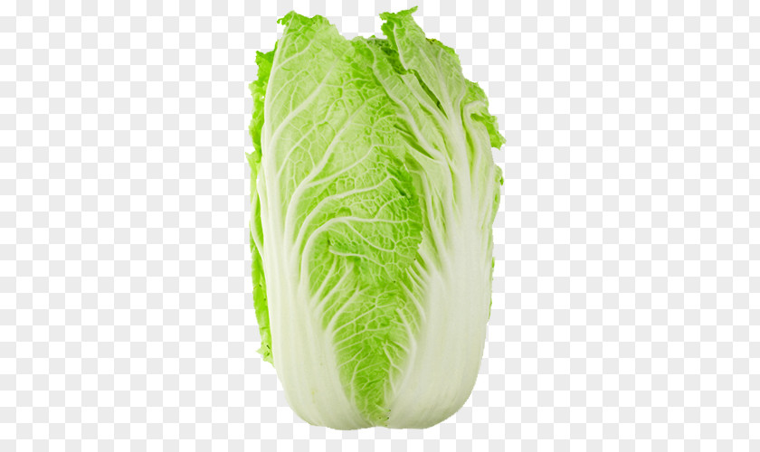 Bok Choy Chinese Cuisine Cabbage Napa Savoy PNG