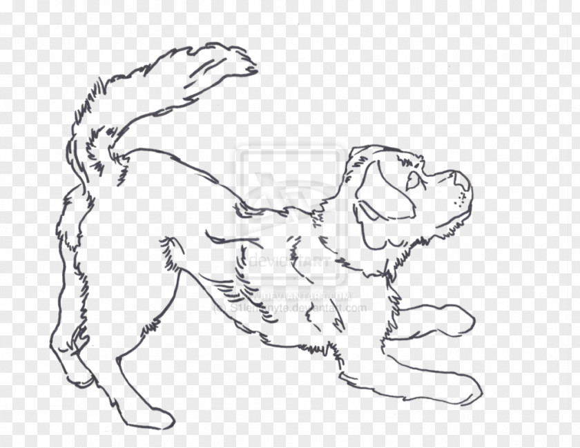Puppy Dog Breed Drawing Poodle Border Collie PNG
