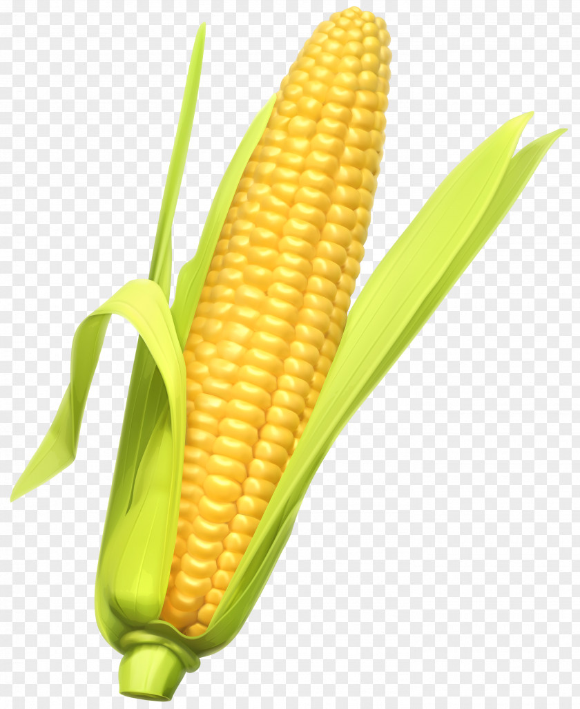 Corn On The Cob Maize Vegetable Clip Art PNG