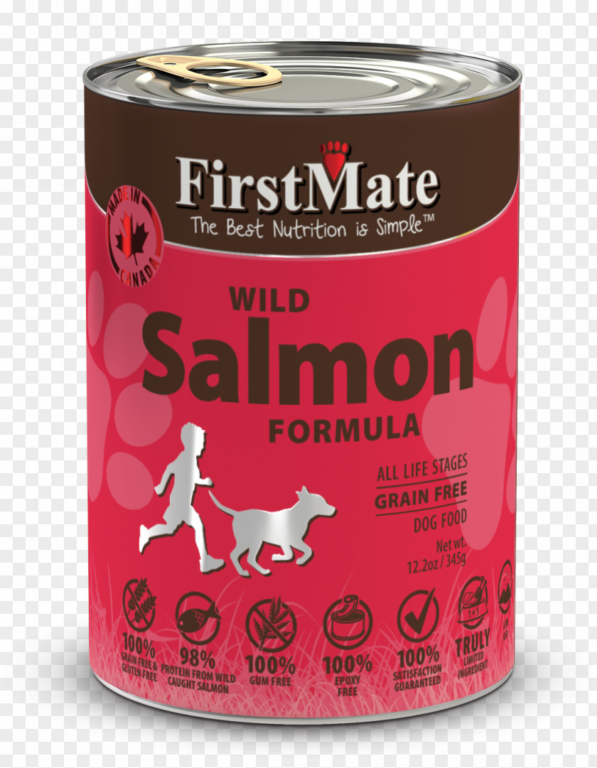 Dog Food Cat Salmon PNG