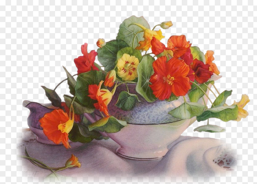 Flower Cut Flowers Vase PNG
