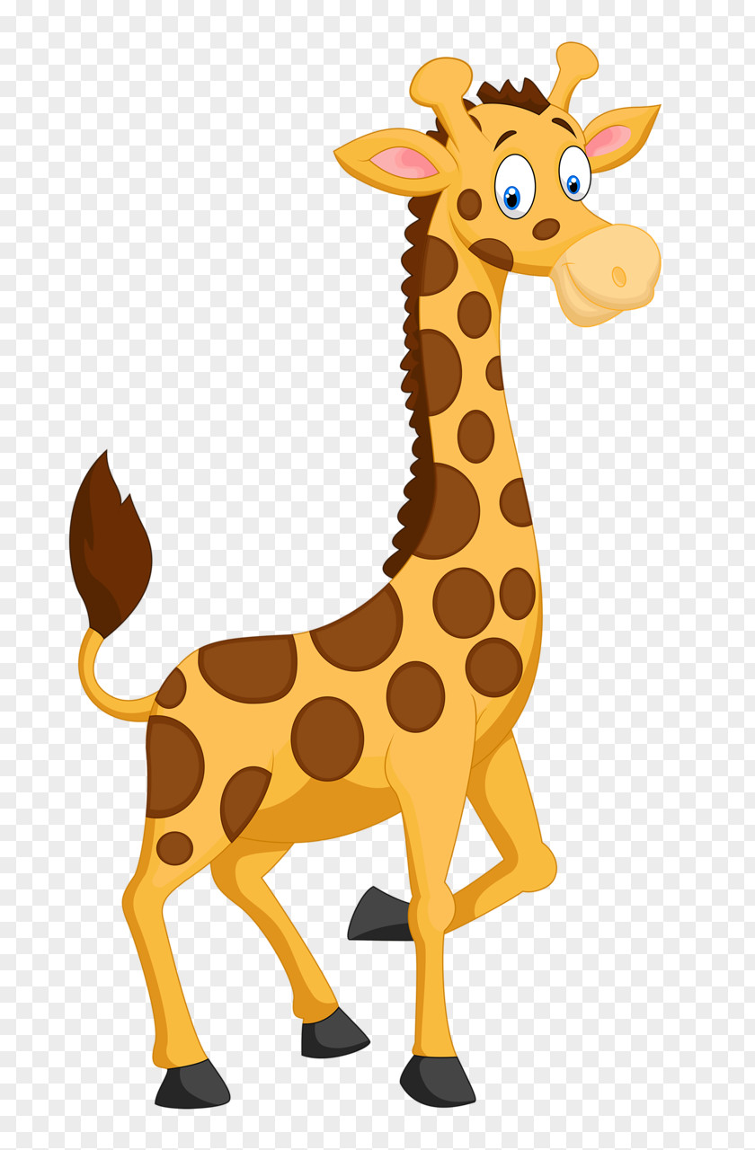 Funny Giraffe Clip Art PNG
