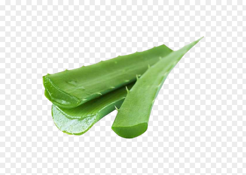 Green Bean Xanthorrhoeaceae Leaf Snow Peas Plant Aloe PNG
