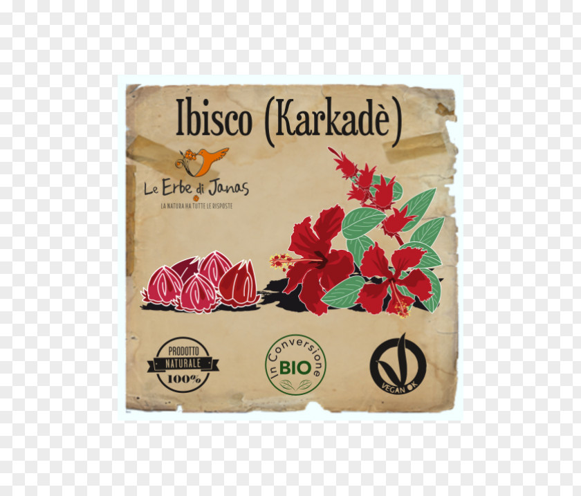 Hibiscus Sabdariffa Roselle Henna Tea Skin Face PNG