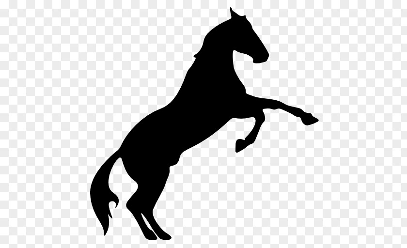 Jumping Blackandwhite Horse Cartoon PNG