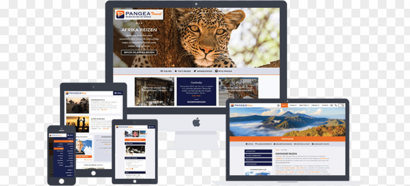 Pangea Studievereniging Synergy Display Device Tromik Webdesign Law And Management PNG