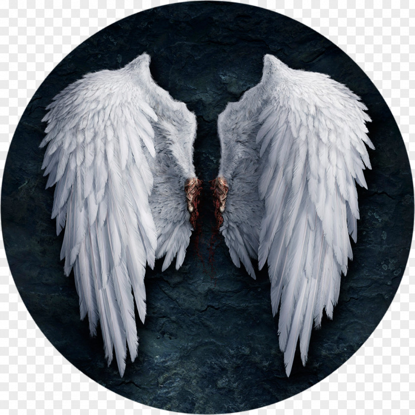 Angel Wings Angels Of The Deep Lucifer Castiel PNG
