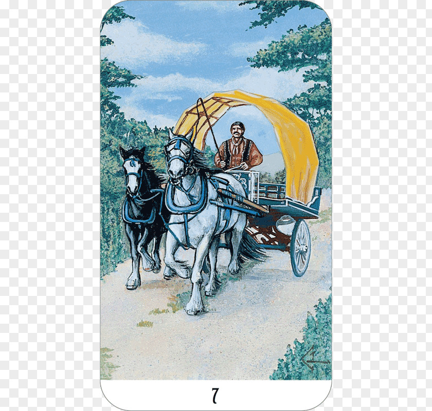 Horse The Buckland Romani Tarot: In Authentic Gypsy Tradition Book Of Wisdom Chariot PNG