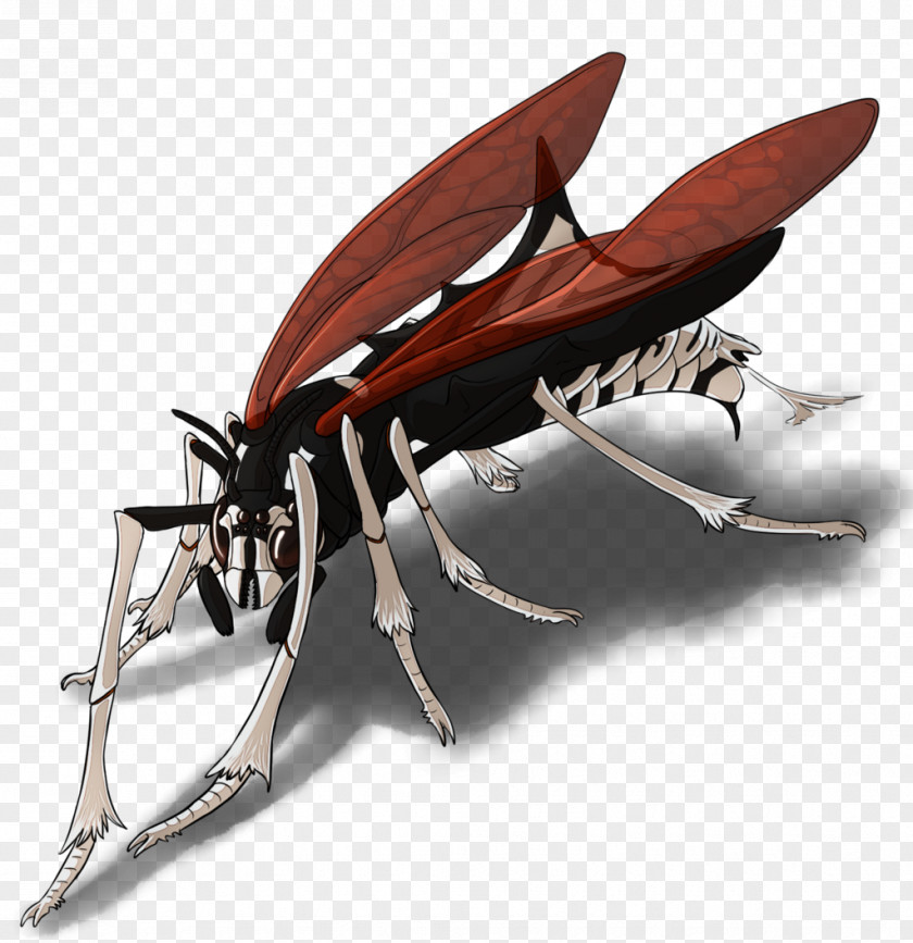 Insect Invertebrate Pest PNG