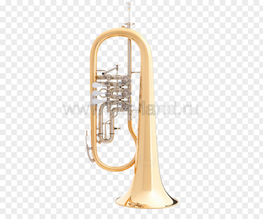 Trumpet Cornet Flugelhorn Saxhorn Brass Instruments Euphonium PNG
