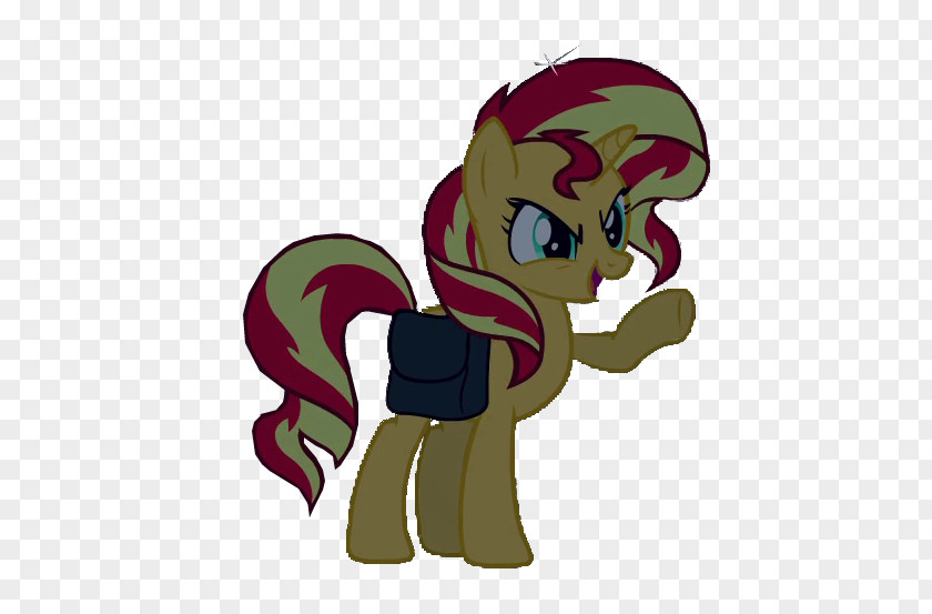 Yy Vector Pony Flash Sentry Rainbow Dash Twilight Sparkle Sunset Shimmer PNG