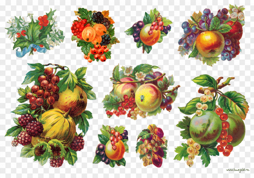 Berries Berry Fruit Food Paper Vegetable PNG