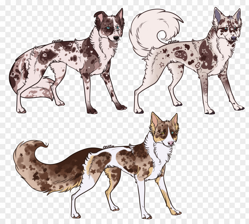 Cat Dog Breed /m/02csf Drawing PNG