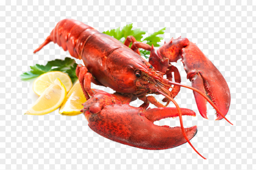 Lobster Seafood Pancake Spanish Cuisine PNG Cuisine, Steamed lobster clipart PNG