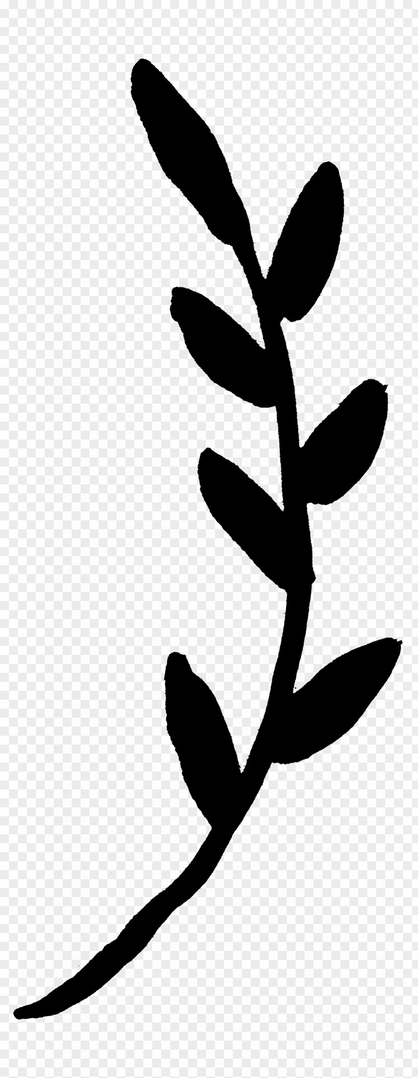 Twig Plant Stem Flower Leaf Clip Art PNG