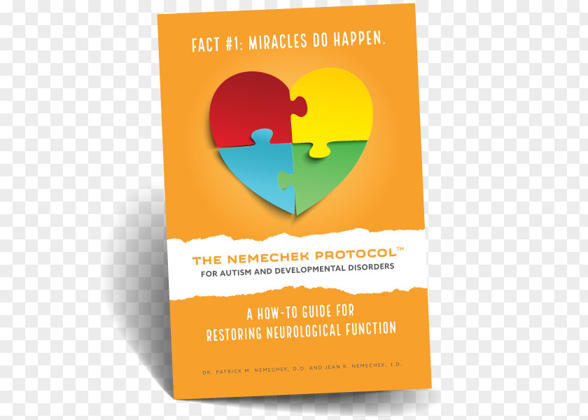 Child The Nemechek Protocol For Autism And Developmental Disorders: A How-To Guide Restoring Neurological Function Amazon.com PNG