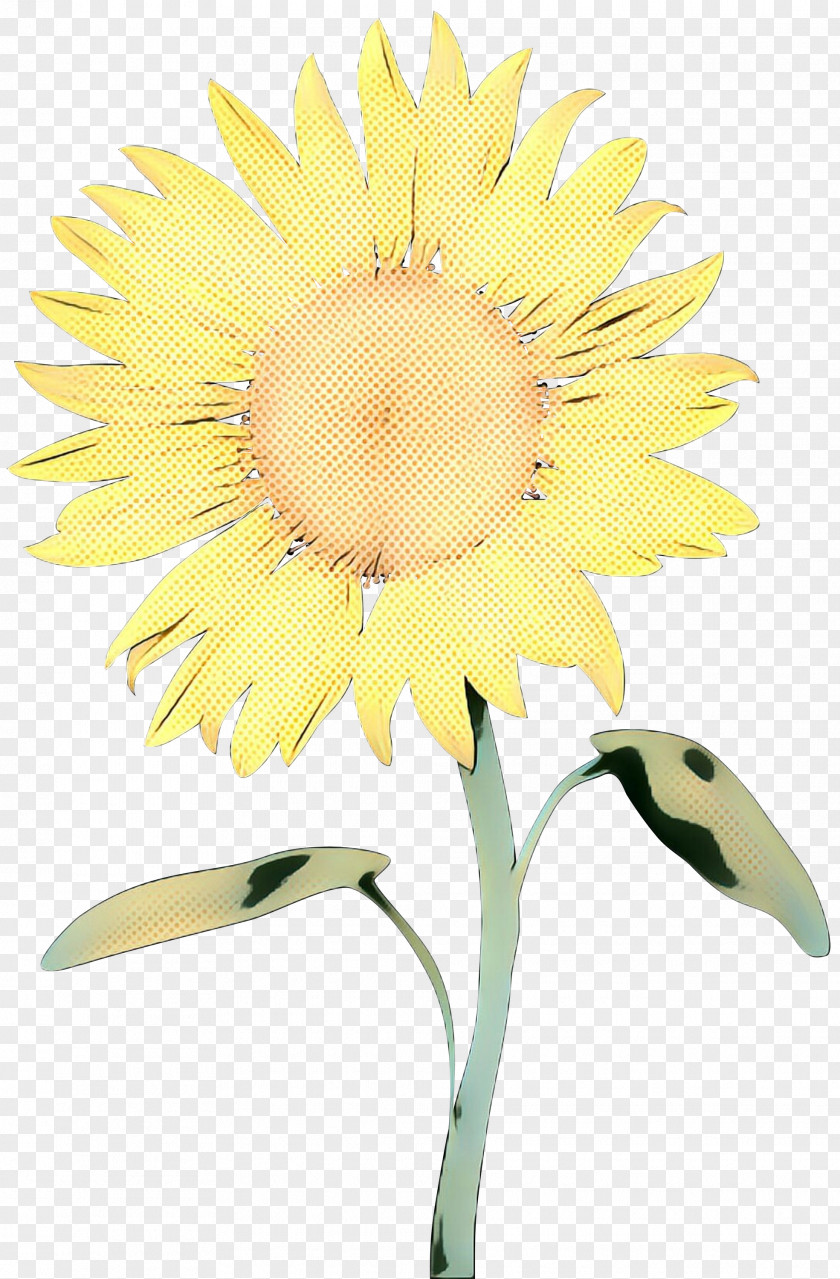 Cut Flowers Common Sunflower Floral Design Plant Stem Seed PNG