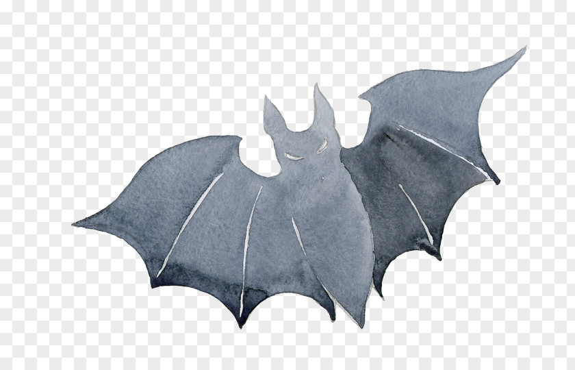 Halloween Bat Jack-o-lantern U7bc0u65e5 PNG