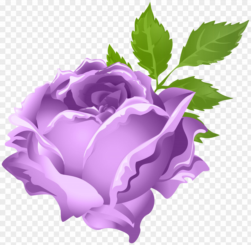 Purple Rose Flower Clip Art PNG