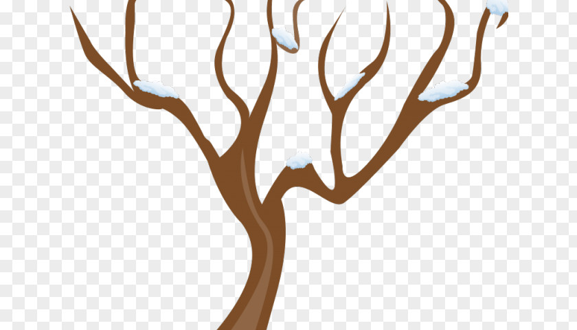 Candlenut Tree Clip Art Leaf Branch PNG