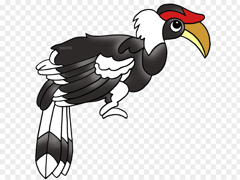 Chicken Rooster Bird Clip Art Beak PNG