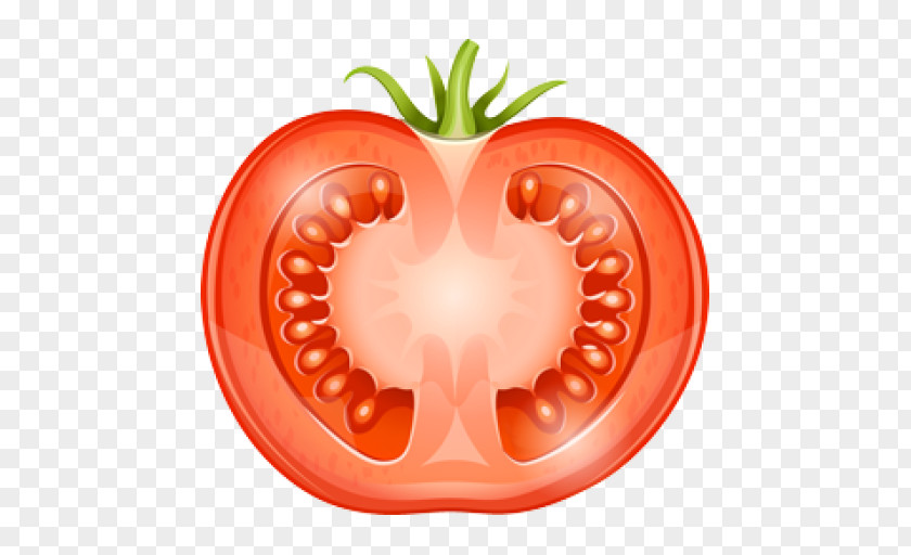 Tomato Heirloom Drawing Stock Photography PNG