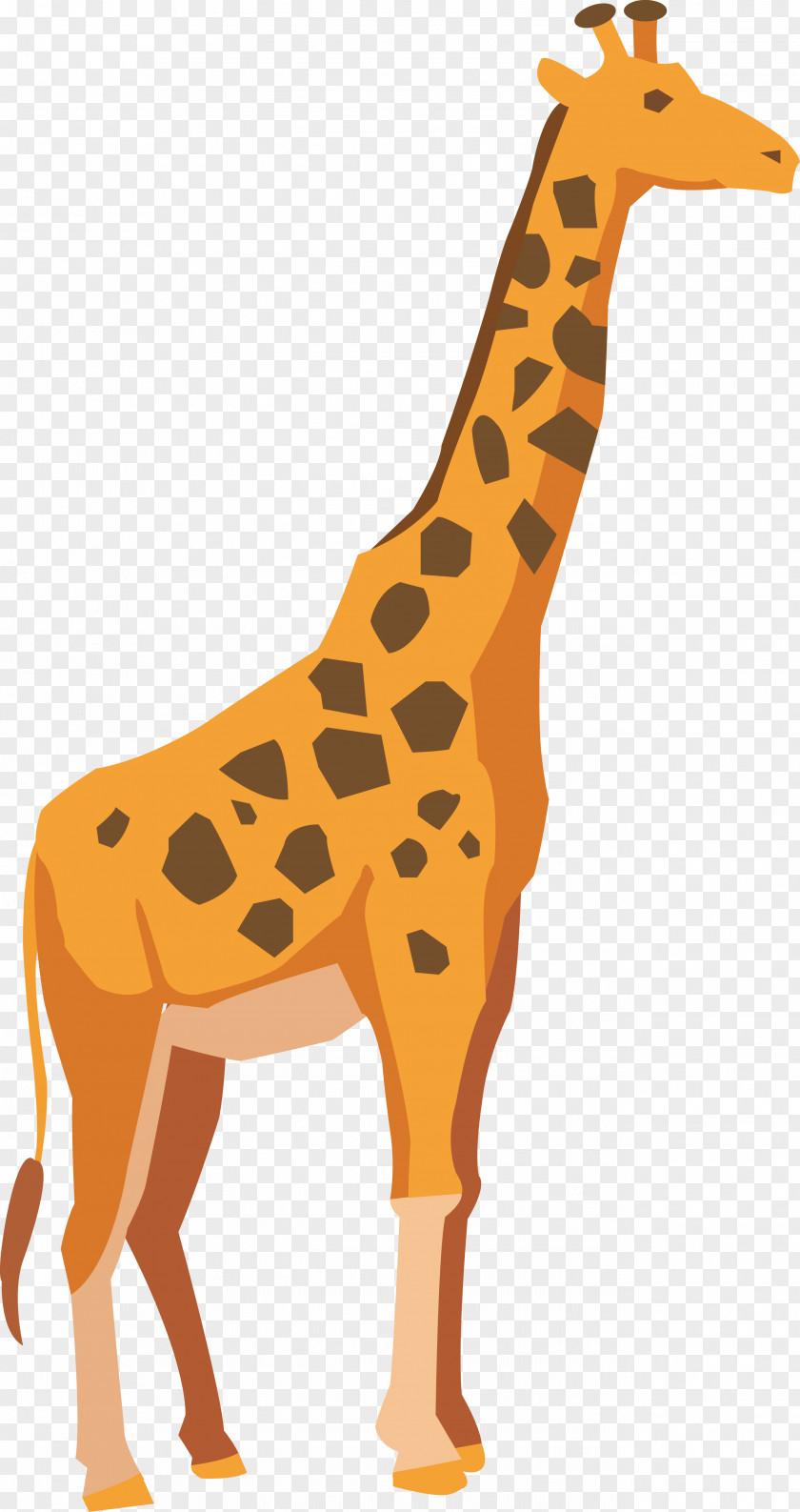 Vector Cartoon Giraffe Adobe Illustrator Drawing PNG