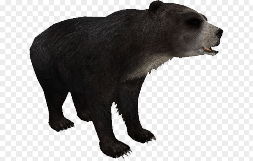 Bear Grizzly Short-faced Bears Zoo Tycoon 2 Tremarctos Floridanus PNG