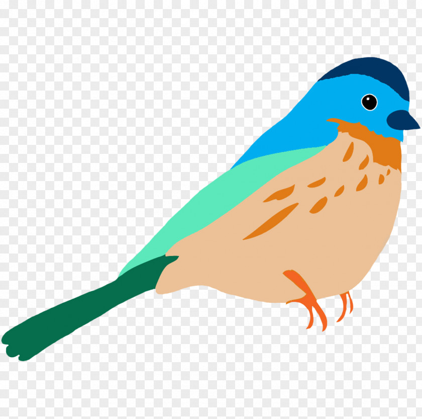 Bird Desktop Wallpaper Clip Art PNG