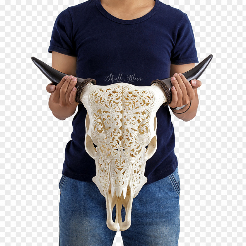 Buffalo Skull Cattle XL Horns Milk PNG