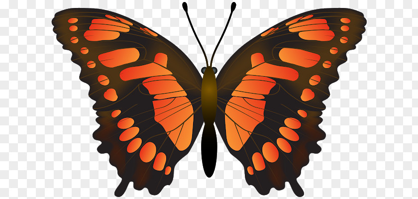 Butterfly Monarch Clip Art PNG