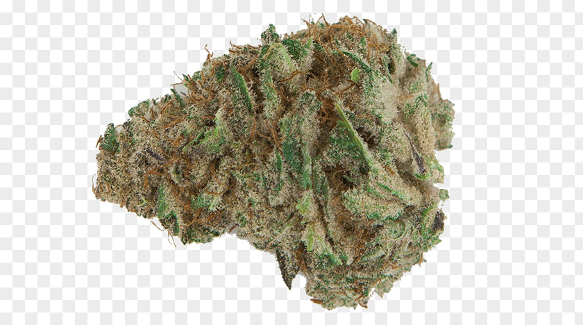Cannabis Kush Universal Herbs Bud Nugg: Medical Marijuana Delivery PNG