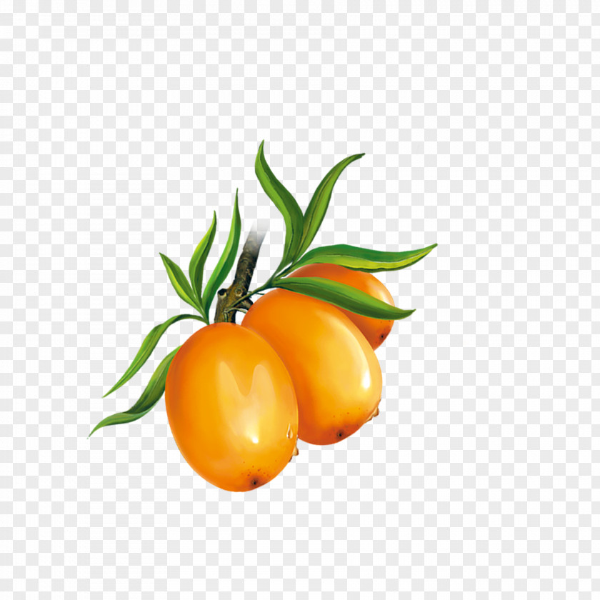 Cherry Tomatoes Tomato Clementine Mandarin Orange Tangerine PNG