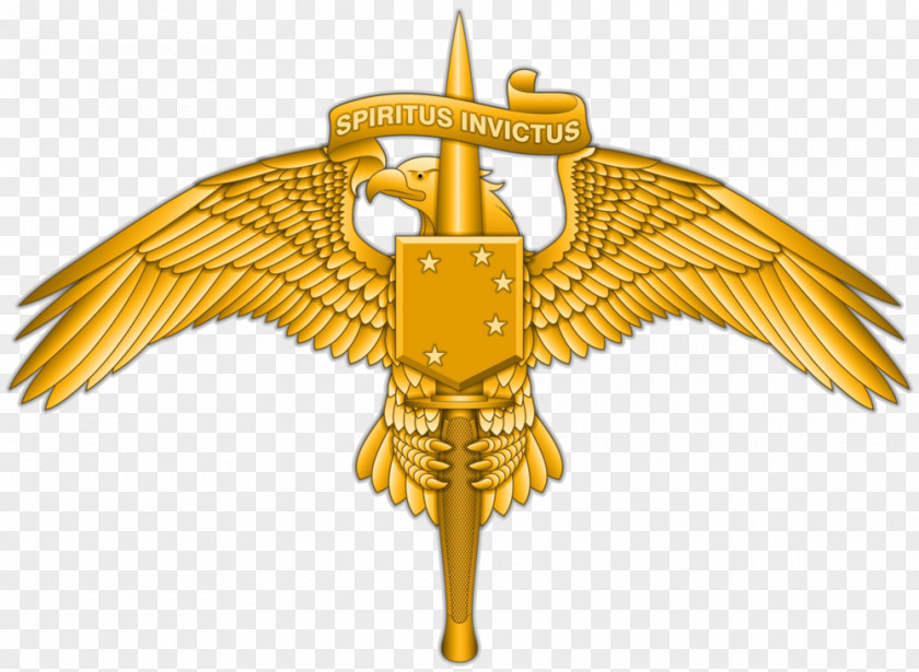 Military Marine Raider Regiment United States Corps Forces Special Operations Command PNG