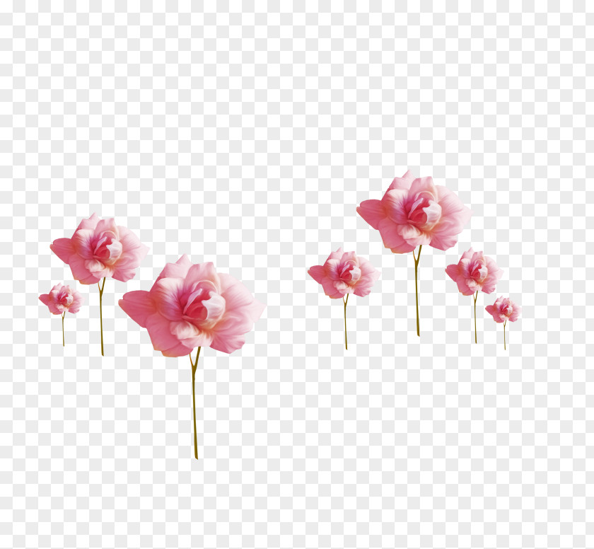 Rose Flower Painting Pink Paper PNG