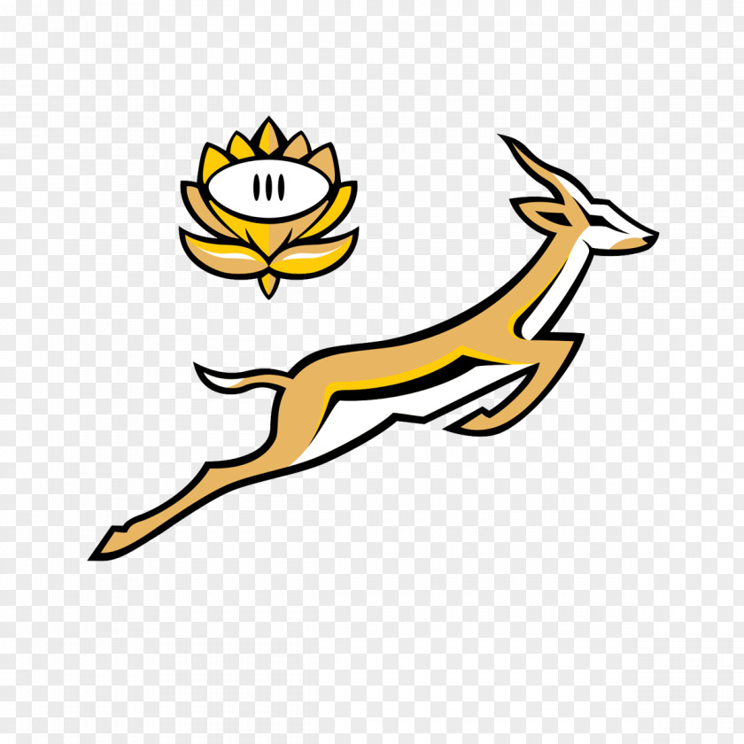 Africa South National Rugby Union Team Sevens Springbok The Championship PNG