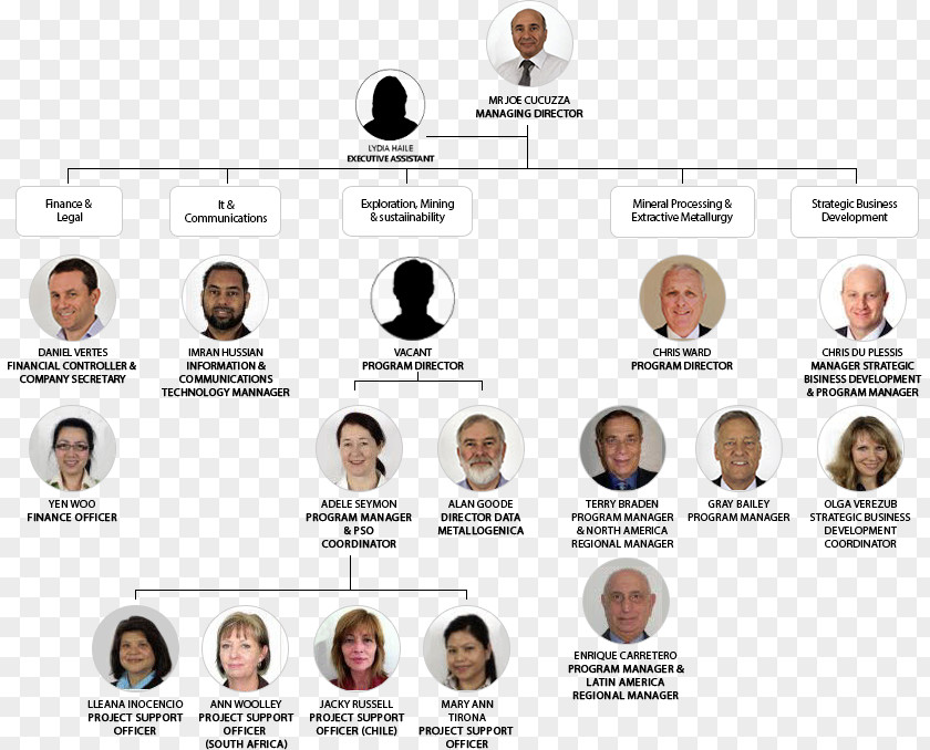 Business Organizational Chart Structure Board Of Directors BHP Billiton Ltd. PNG