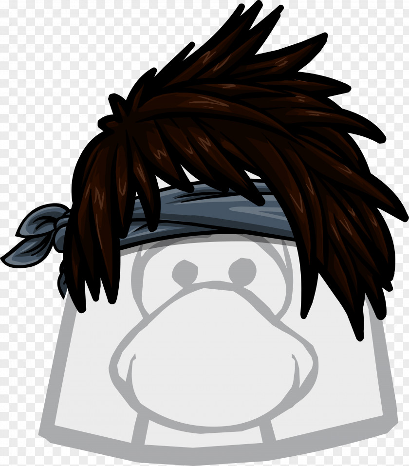 Chill Club Penguin Wikia Clothing PNG