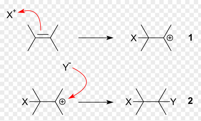 Electrophilic Addition Electrophile Reaction Markovnikov's Rule Double Bond PNG