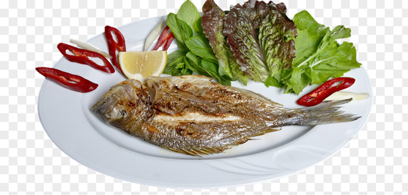 Fish Beyti Kebab Vegetarian Cuisine Doner PNG